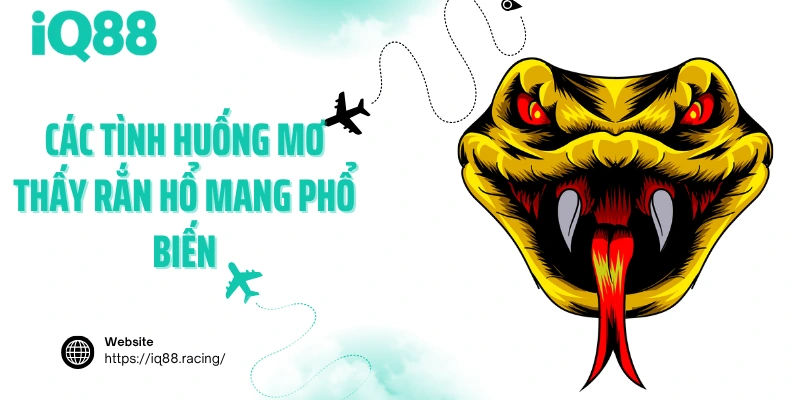 cac-tinh-huong-mo-thay-ran-ho-mang-pho-bien