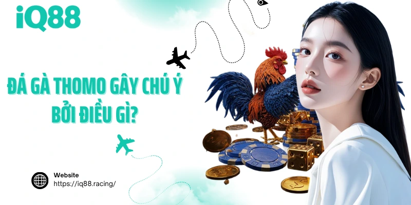 da-ga-thomo-gay-chu-y-boi-dieu-gi