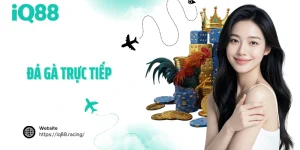 da-ga-truc-tiep-avatar