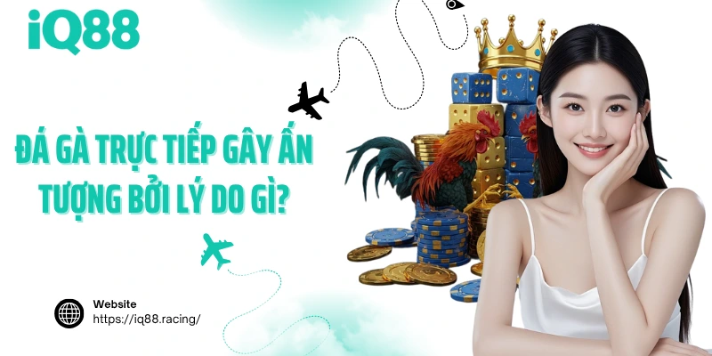 da-ga-truc-tiep-gay-an-tuong-boi-ly-do-gi