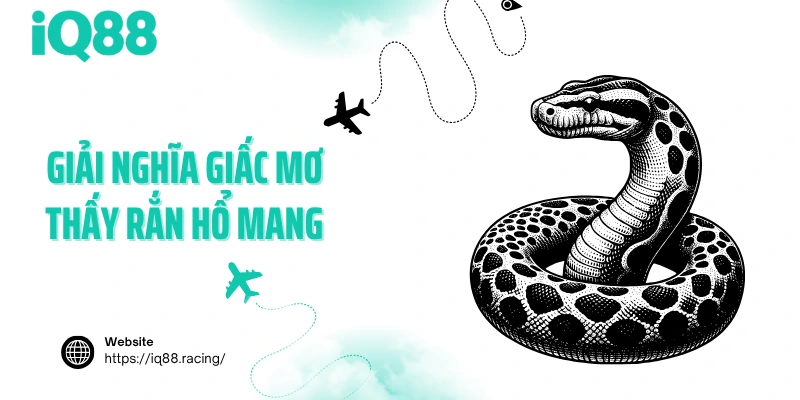 giai-nghia-giac-mo-thay-ran-ho-mang
