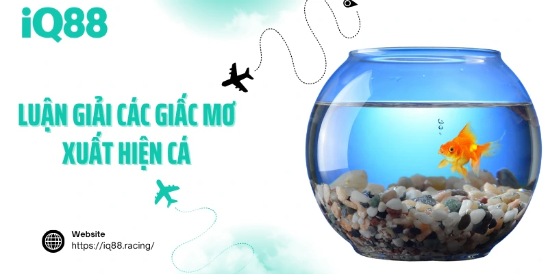 luan-giai-cac-giac-mo-xuat-hien-ca
