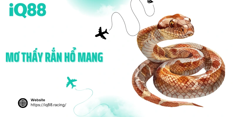 mo-thay-ran-ho-mang-avatar