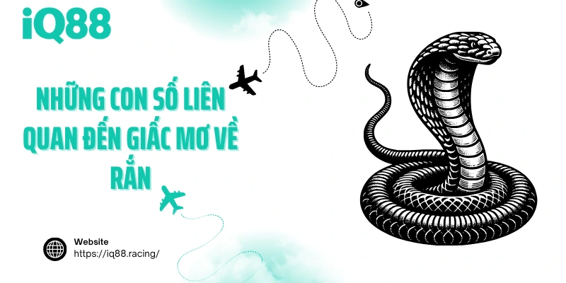 nhung-con-so-lien-quan-den-giac-mo-ve-ran