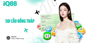 soi-cau-dong-thap-avatar