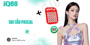 soi-cau-pascal-avatar