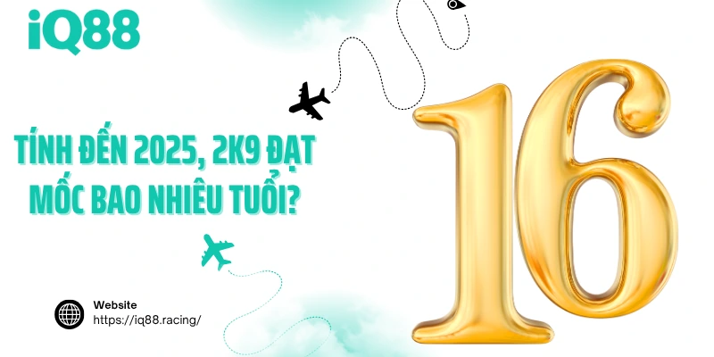 tinh-den-2025-2k9-dat-moc-bao-nhieu-tuoi