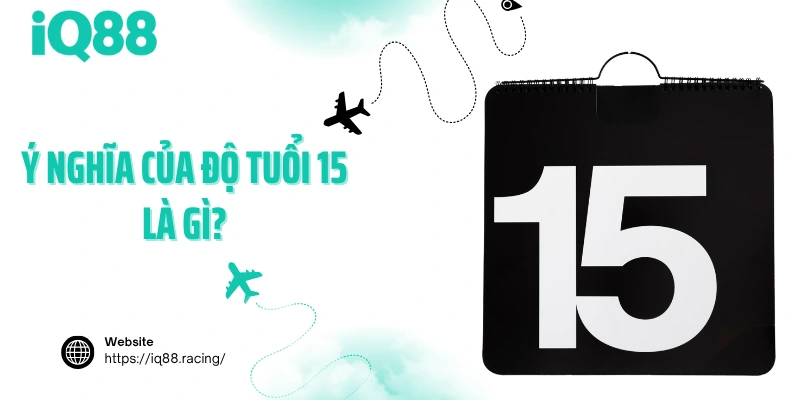 y-nghai-cua-do-tuoi-15-la-gi