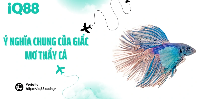 y-nghia-chung-cua-giac-mo-thay-ca